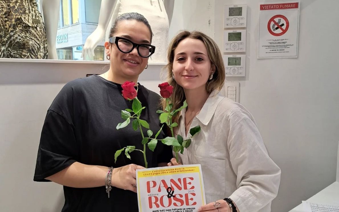 Maggio rose