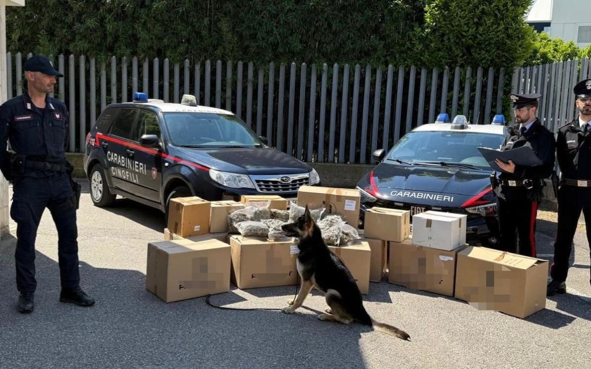 Carabinieri con l’unità cinofila