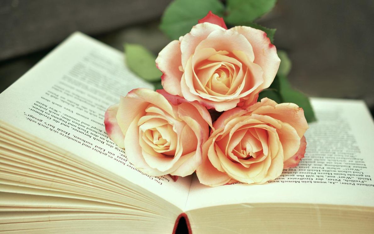 Libri e rose