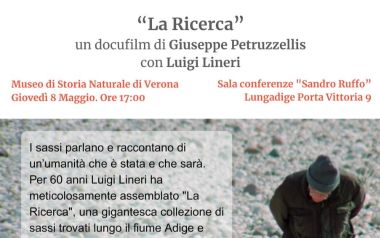 La ricerca