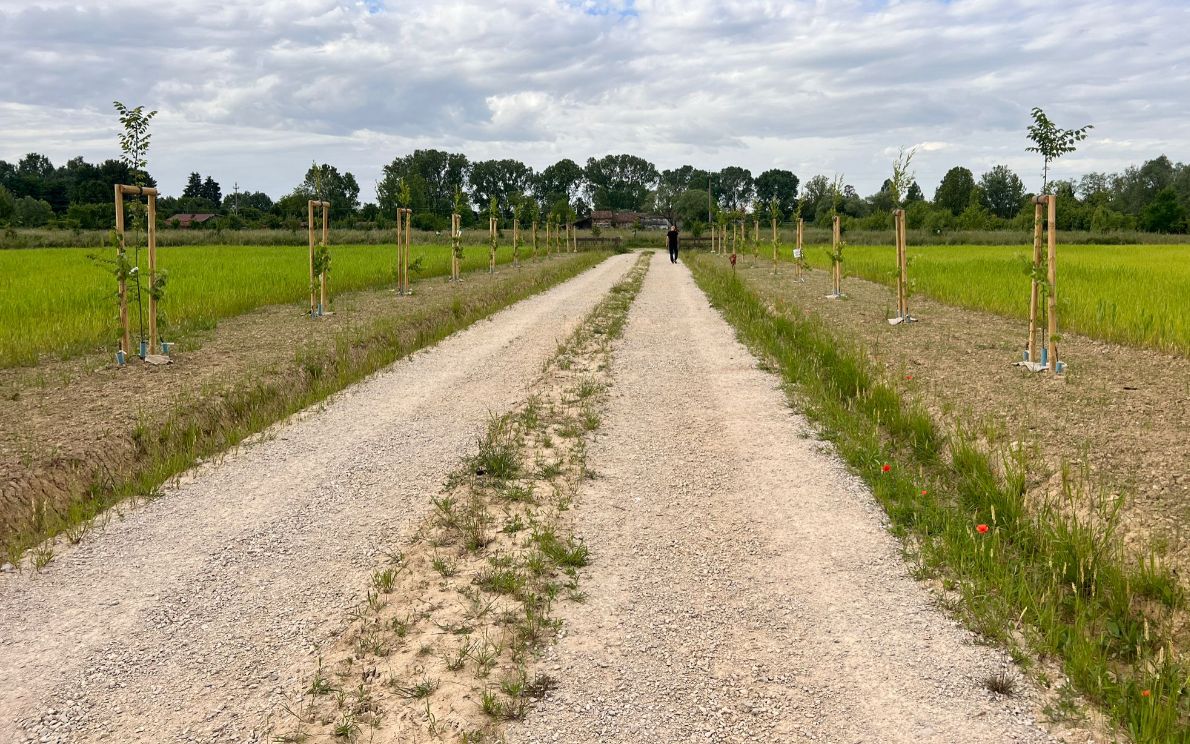 Parco Agro-Paesaggistico del Basso Isonzo