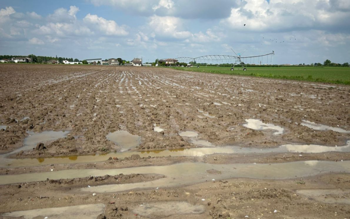 campo allagato