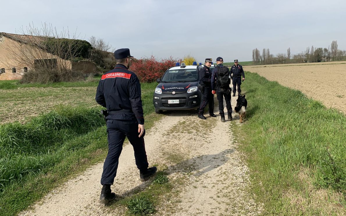 Indagini carabinieri forestali a Terrassa