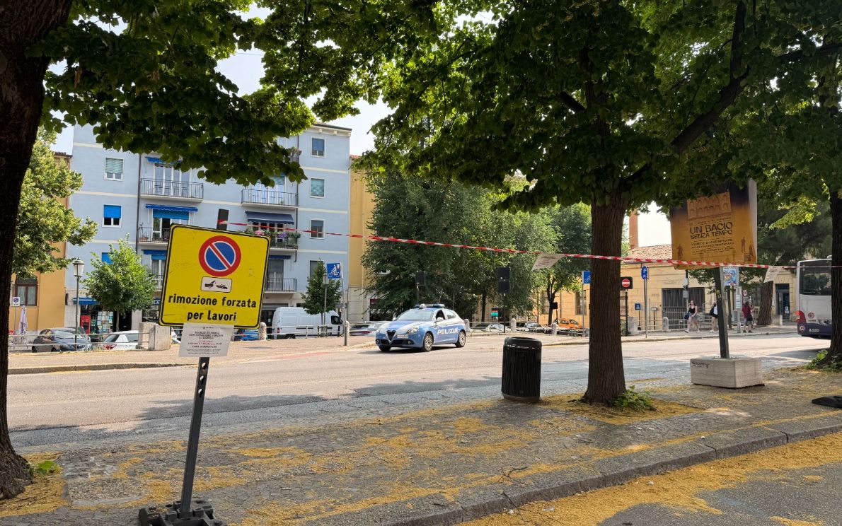 Tigli in via Pallone