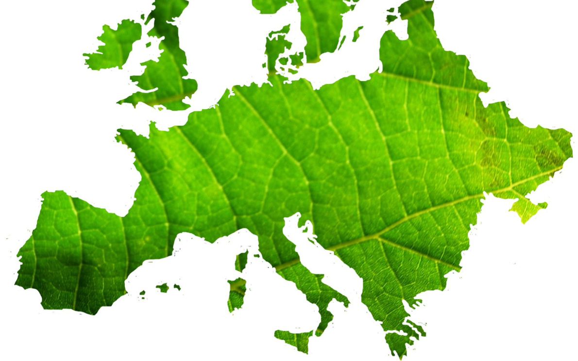 Diretta LineAvoi su transizione verde