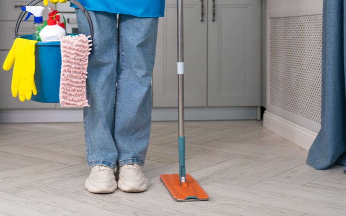 Lavoratori domestici