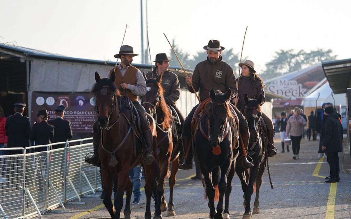 Fieracavalli