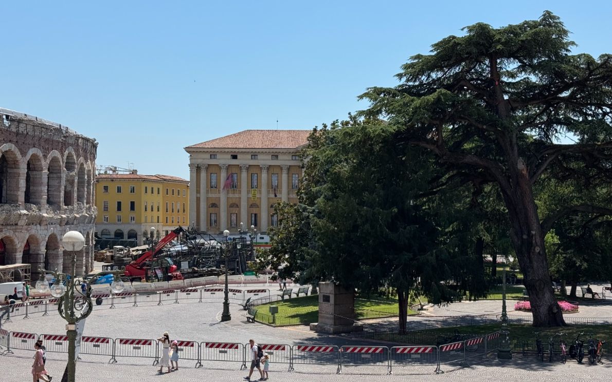 Cedro Piazza Bra