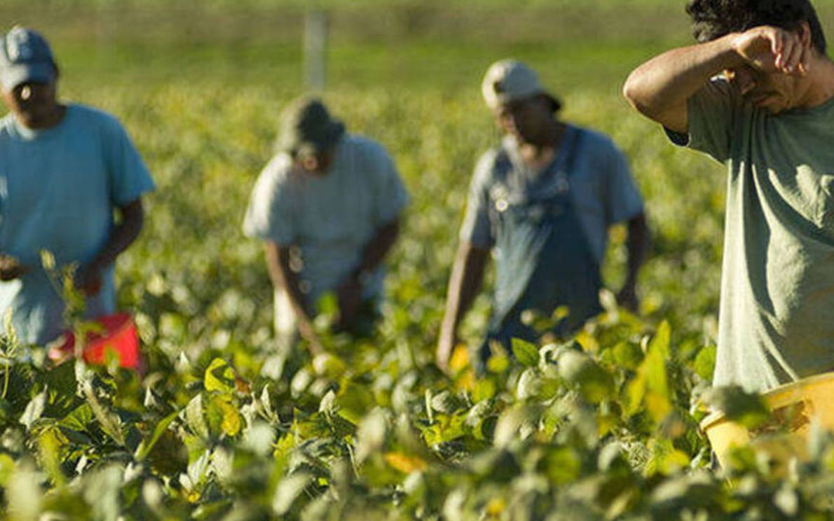 Braccianti, caldo e sole