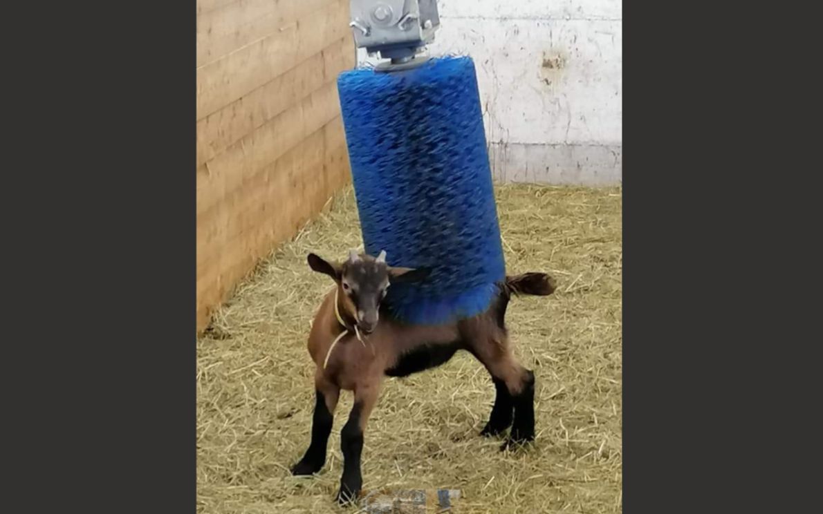 Doccette e ventilatori