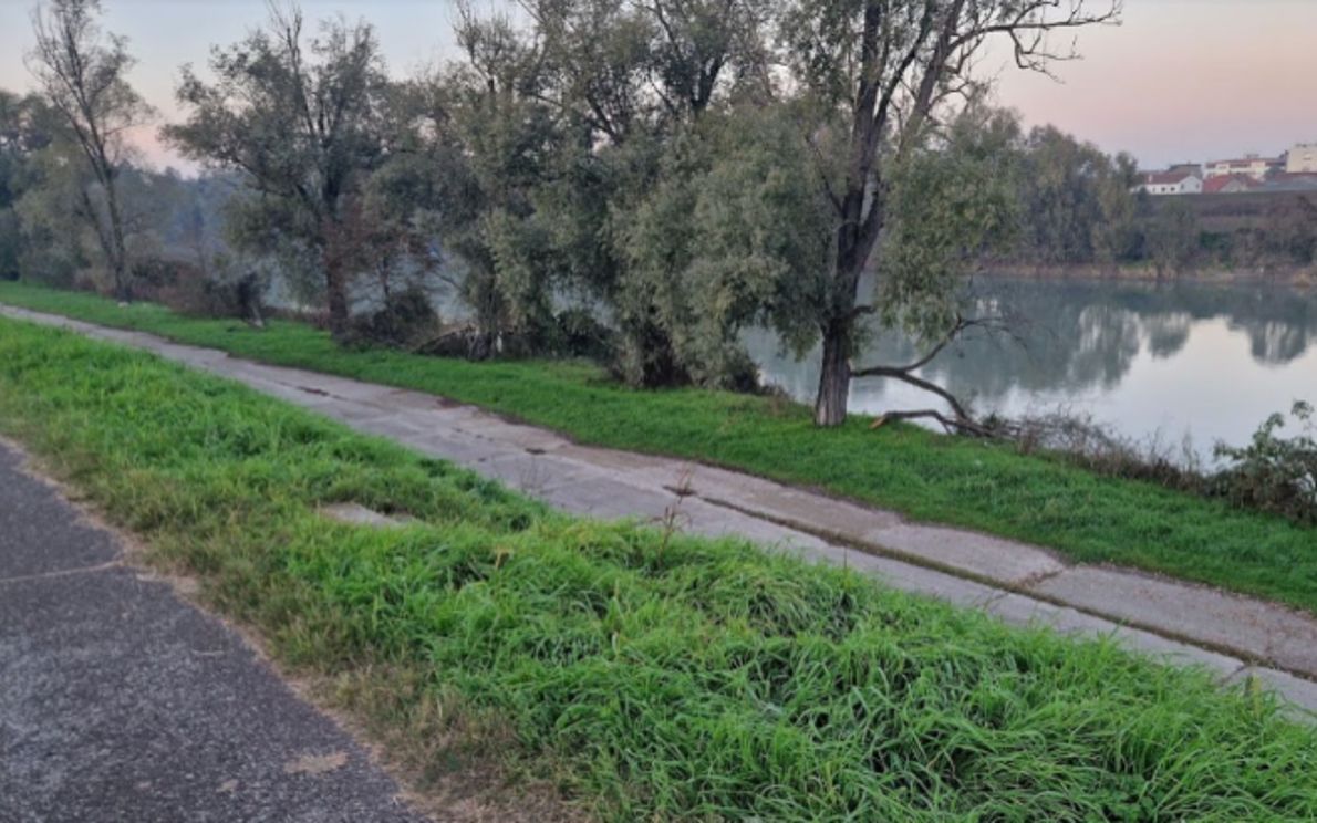 Argine Adige