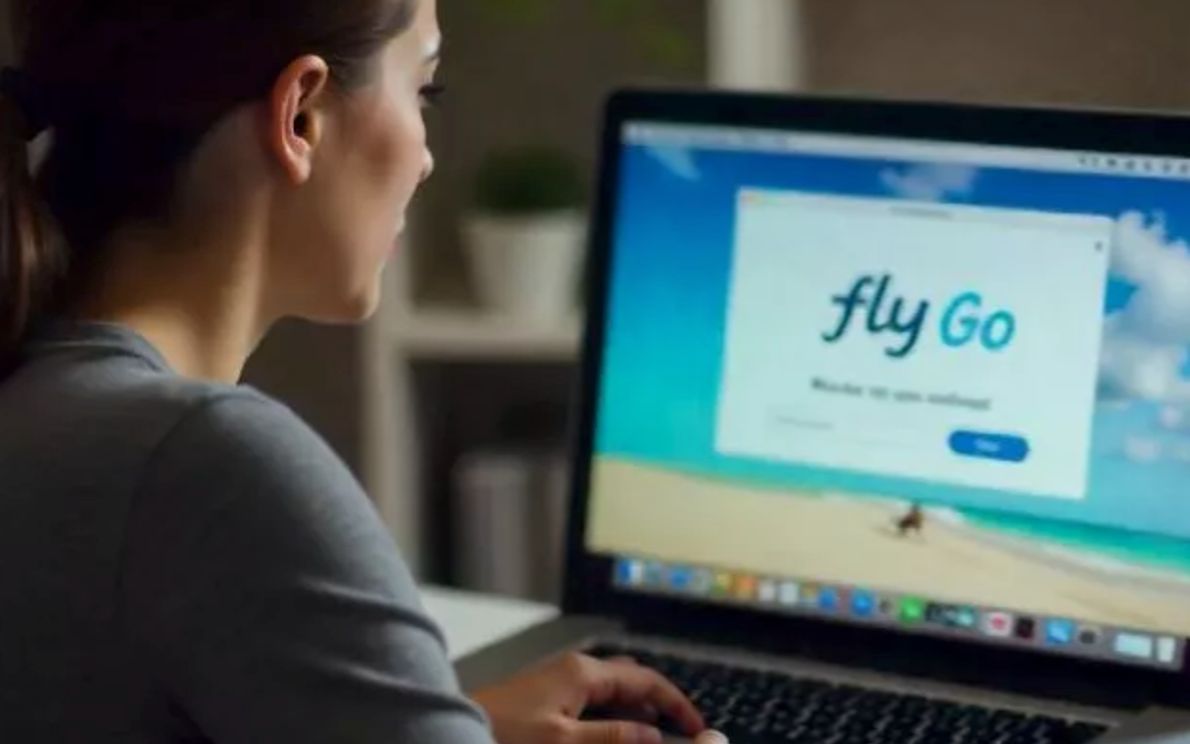 Fly go