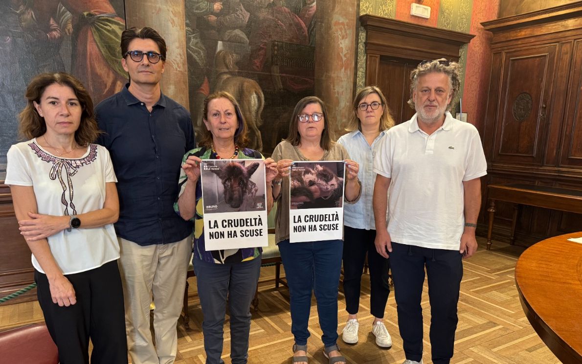 Campagna