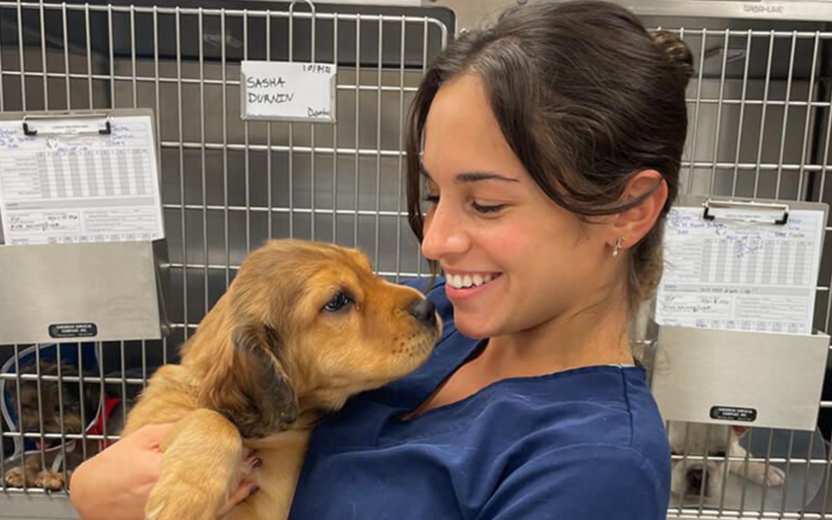 veterinaria
