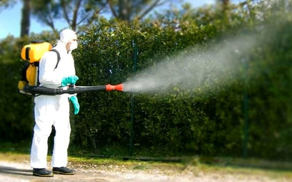 Disinfestazione zanzare