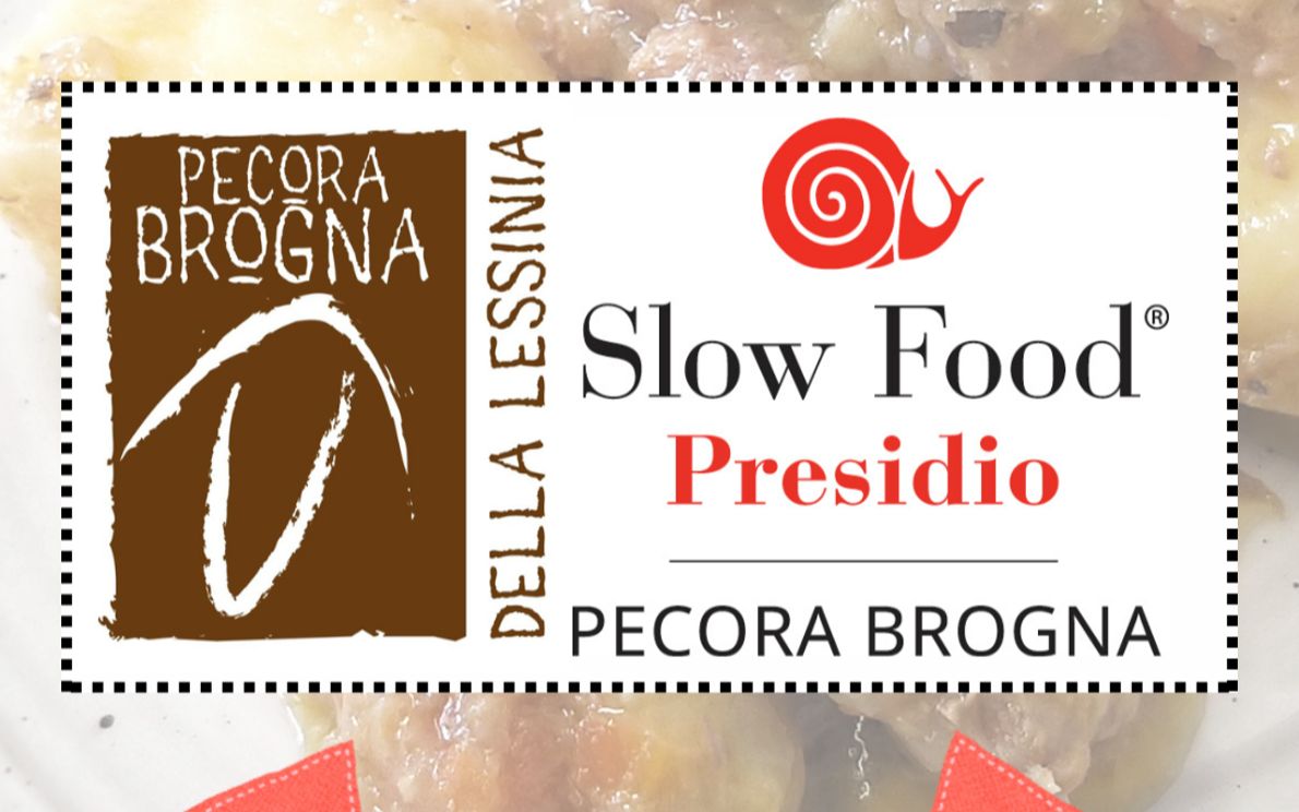 Pecora brogna