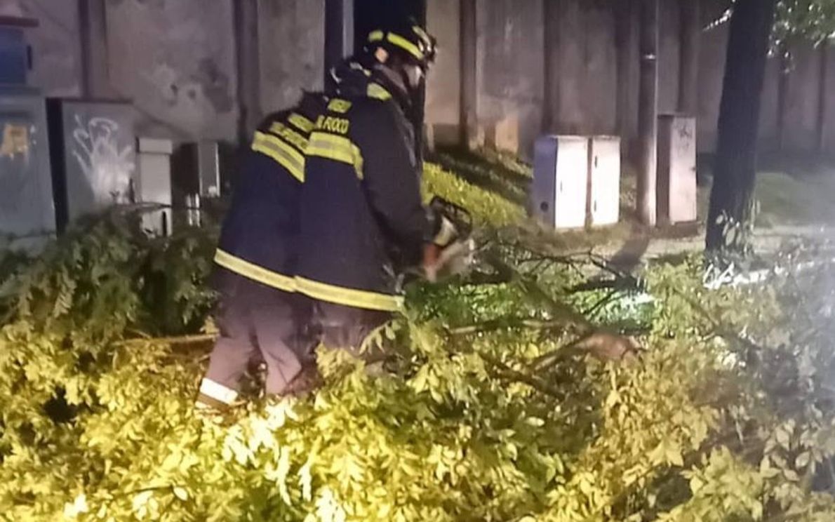 Maltempo, intervento dei Vigili del Fuoco