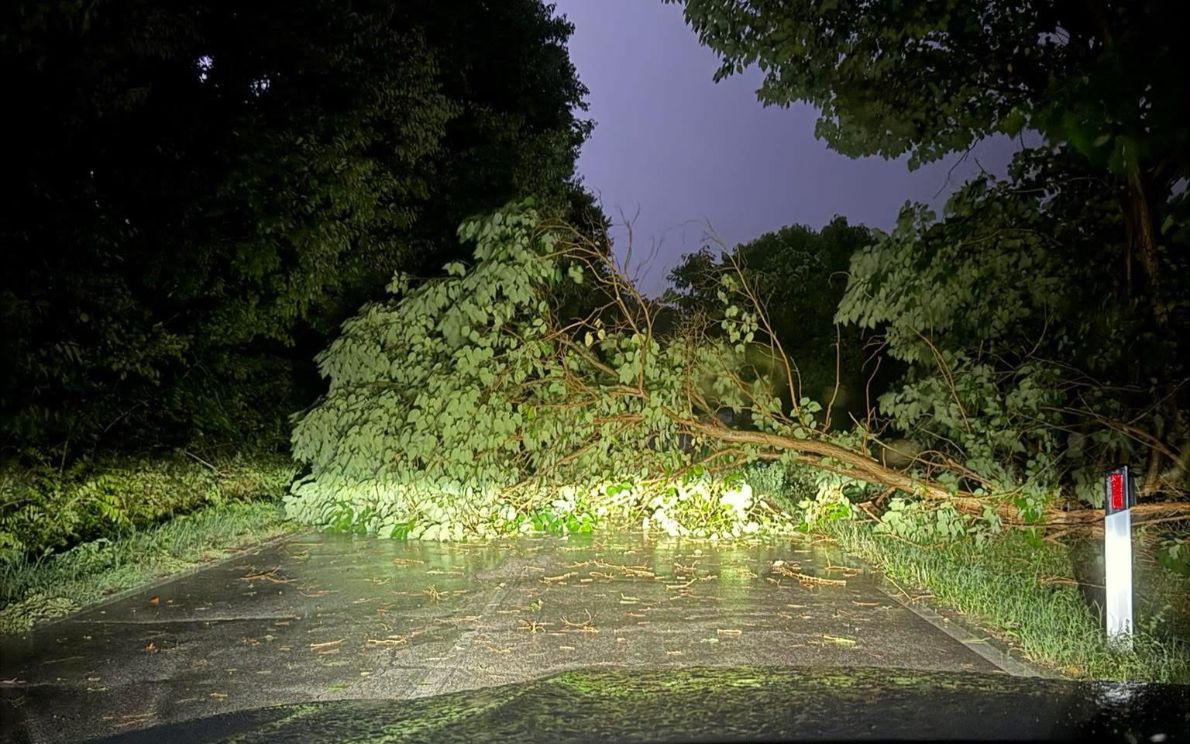 Albero abbattuto dal maltempo a Cinto Euganeo