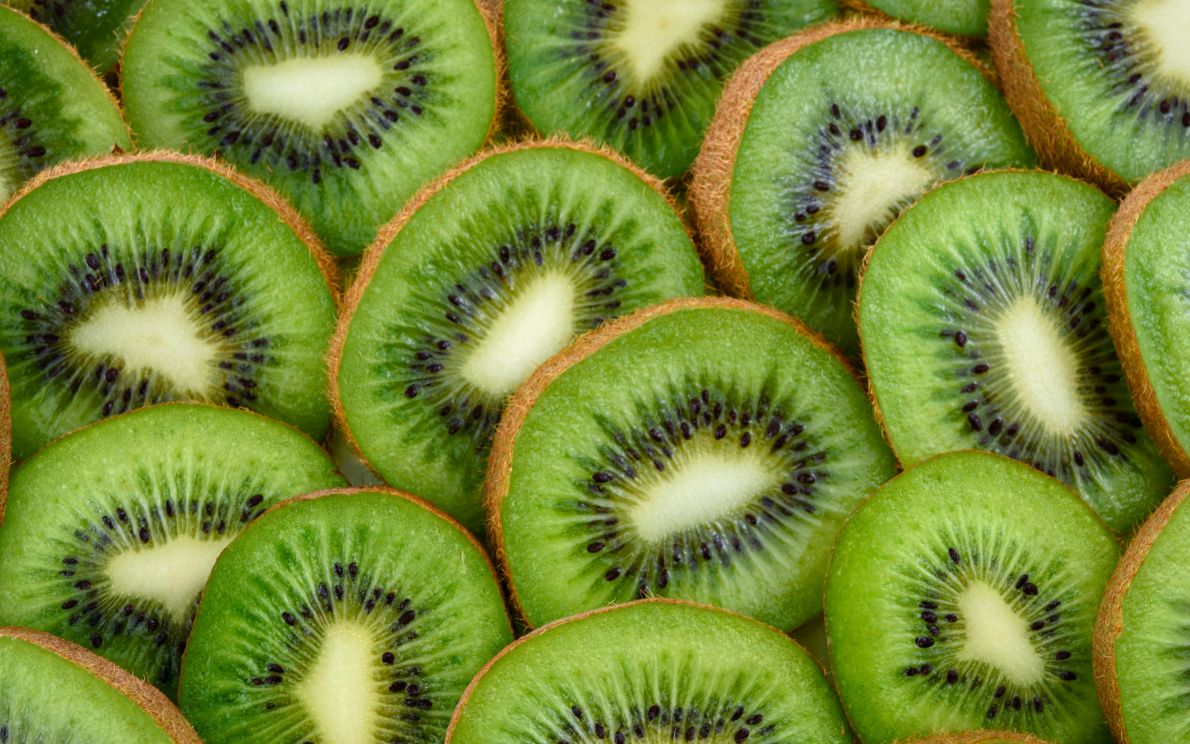 kiwi &#8211; Photo by AS Photography