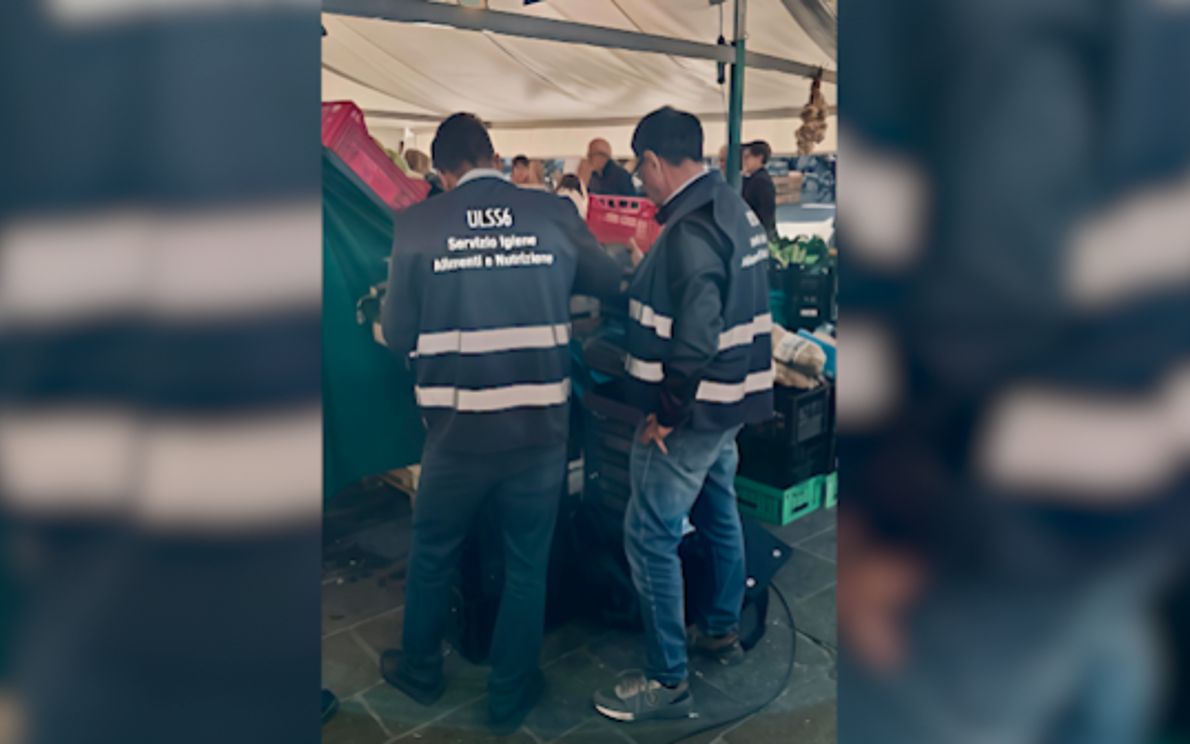 Controlli SIAN Ulss 6 su funghi freschi