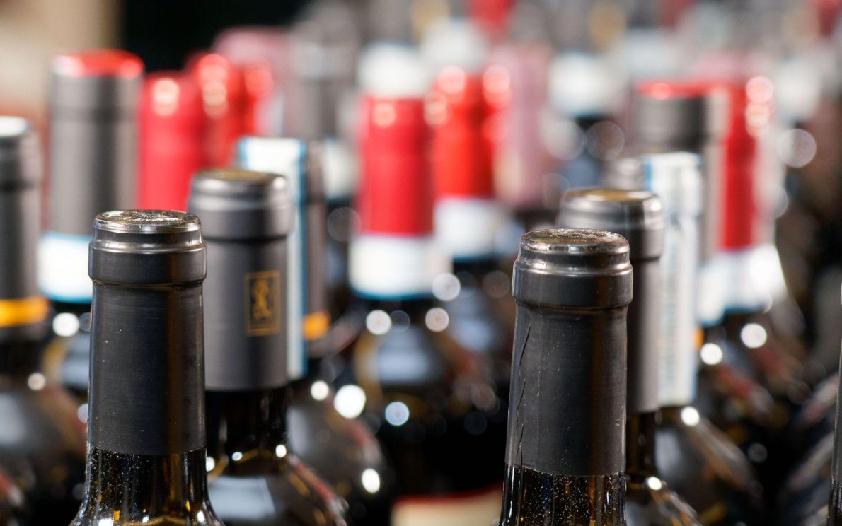 Bottiglie di vino rosso dei Colli Euganei