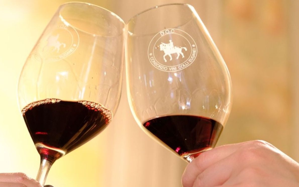 Vino rosso dei Colli Euganei