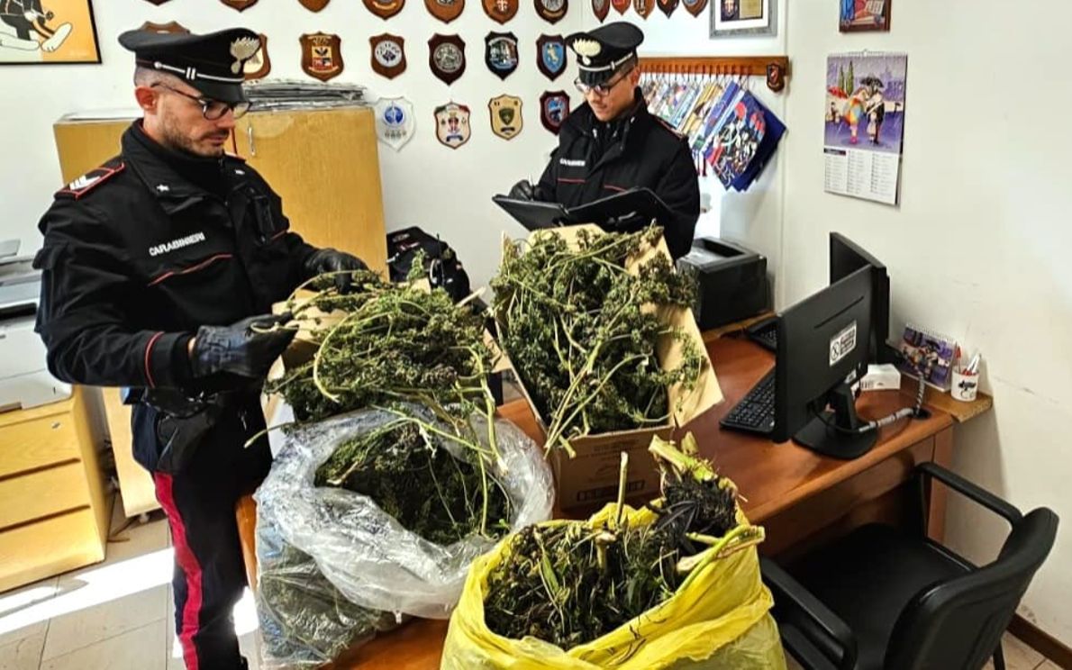 Carabinieri, sequestro marijuana