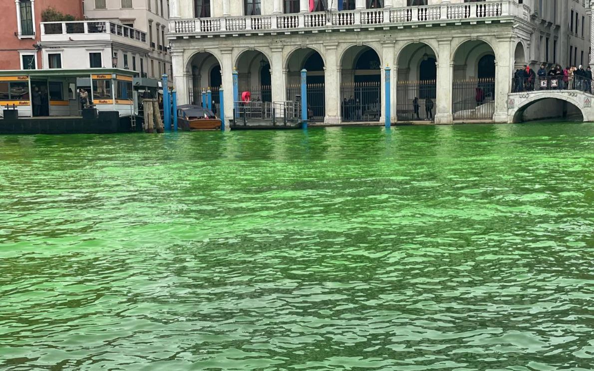 Canal Grande Venezia, imbrattato di verde