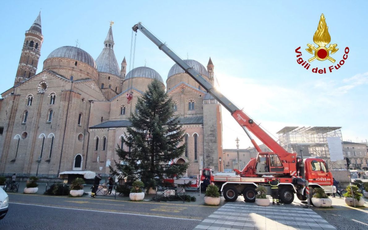 Albero di Natale in Piazza del Santo