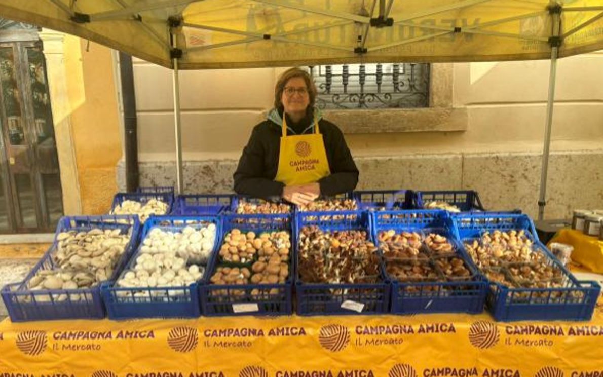 I funghi di Campagna Amica