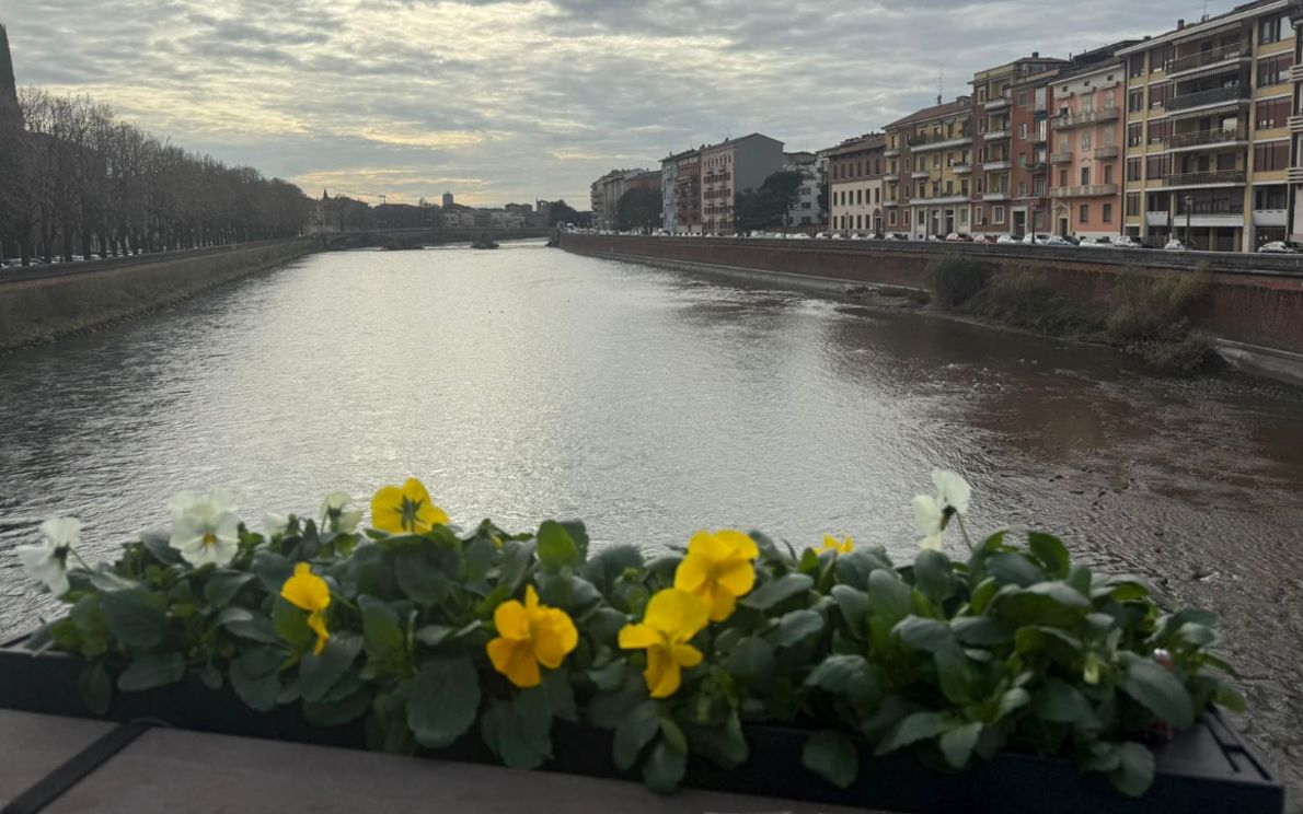 Fioriere a Ponte Garibaldi