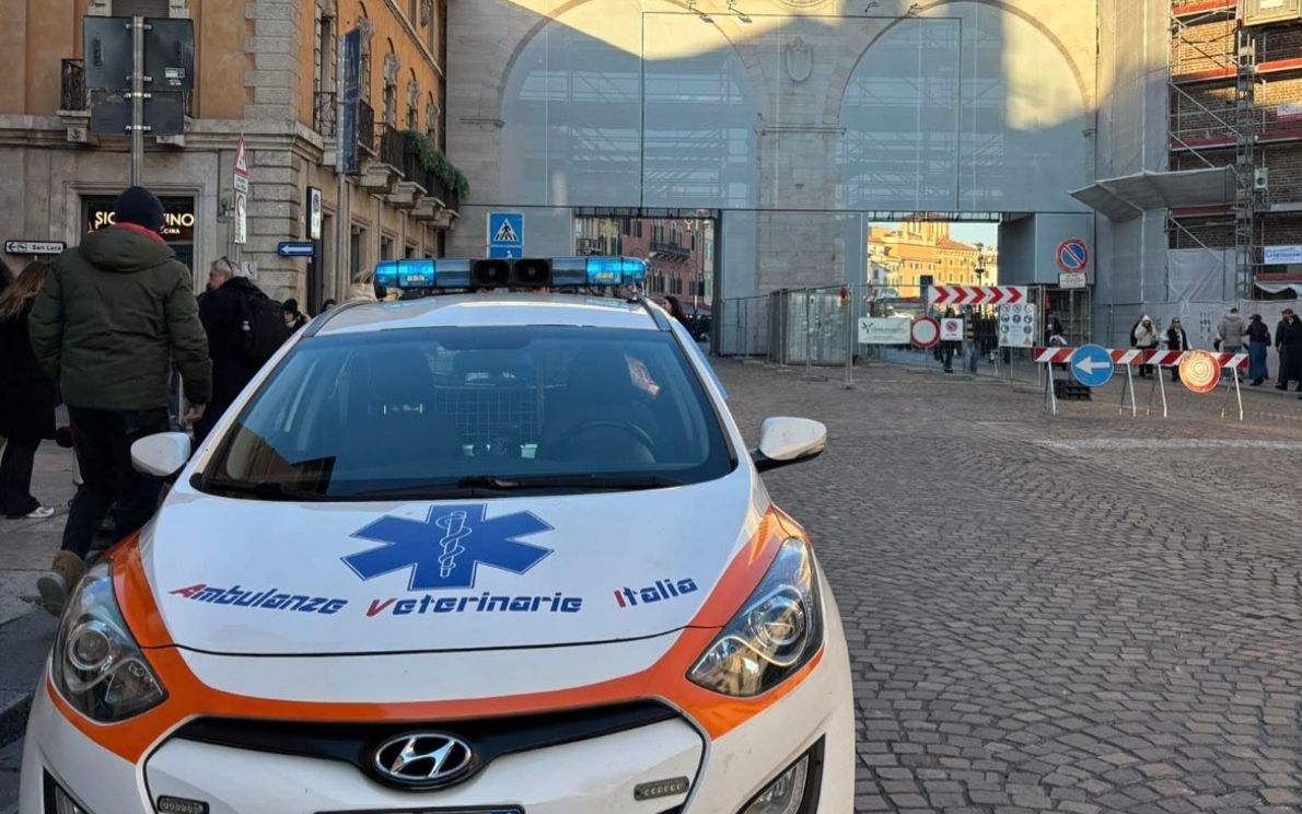 ambulanza veterinaria