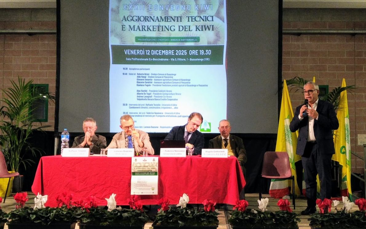 Conferenza kiwi