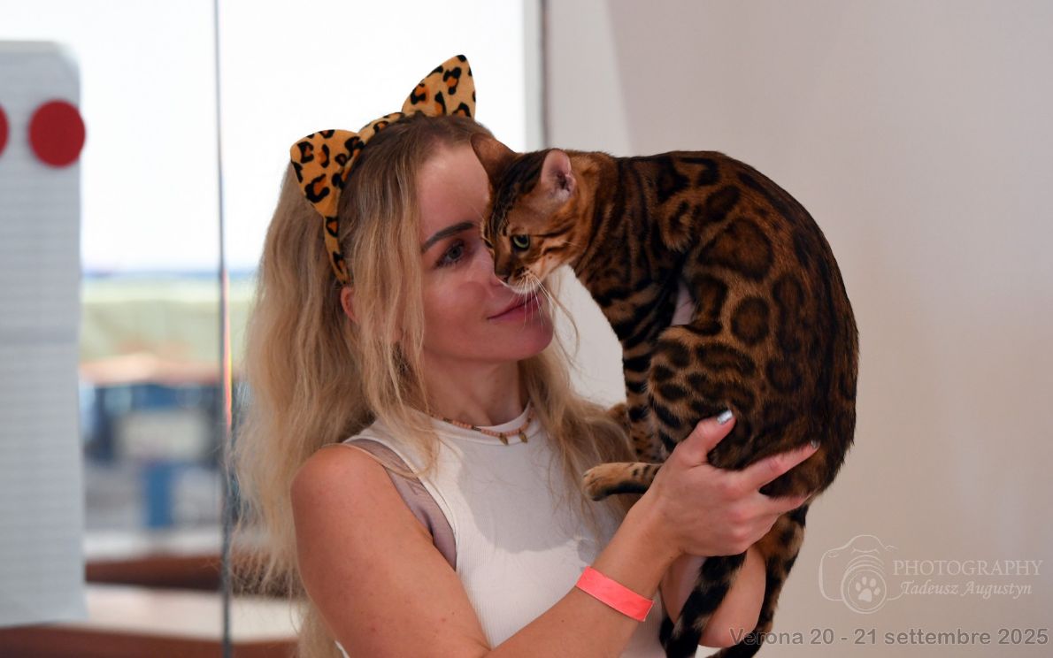 Gatti più belli del mondo in fiera a Padova