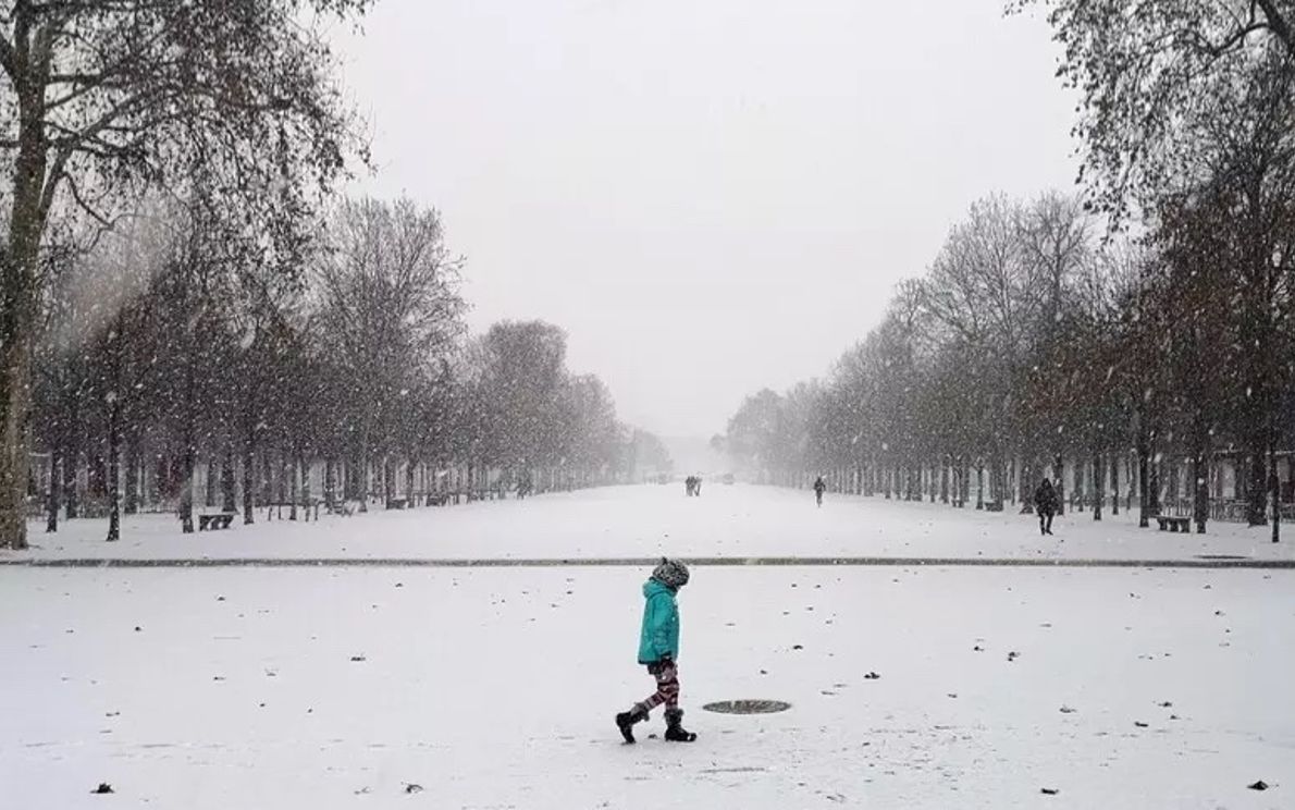 Neve