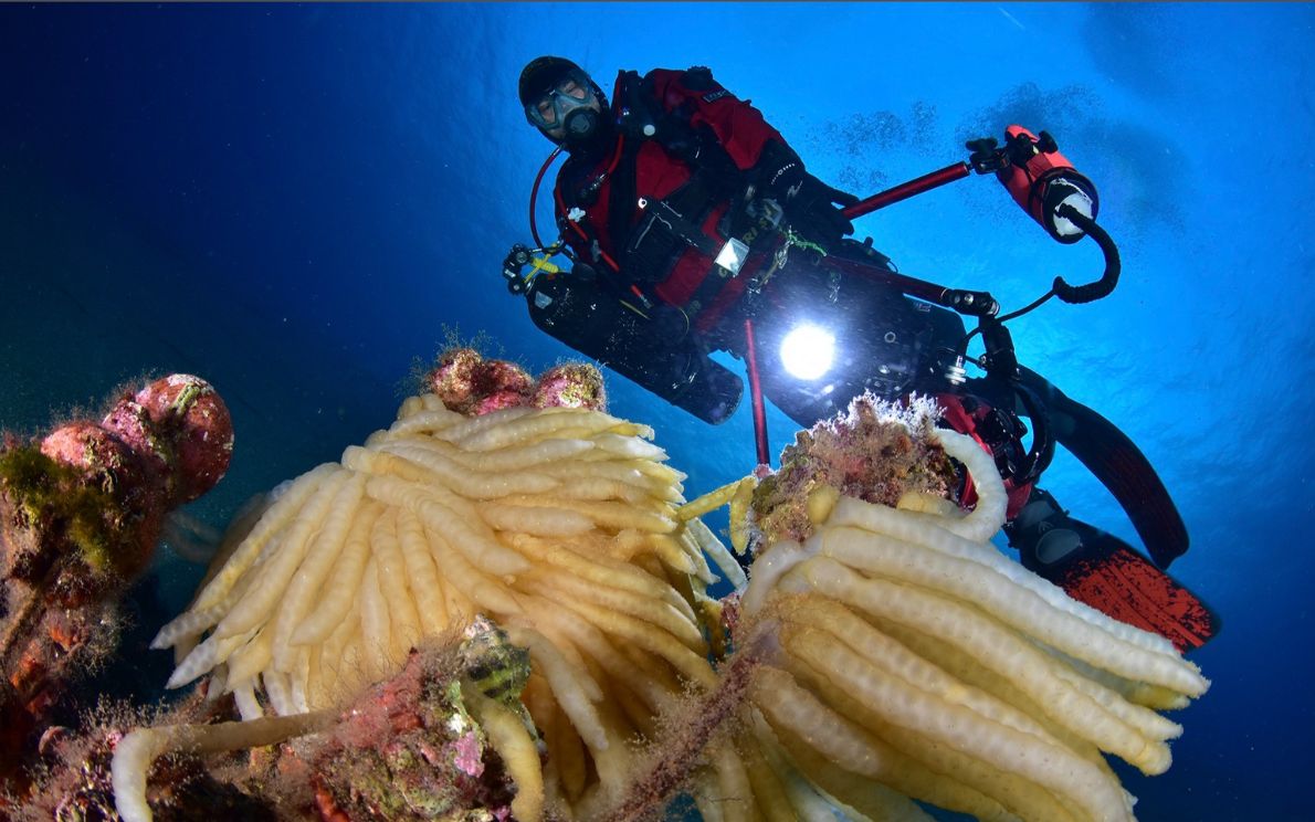 Una foto di Francesco Turano