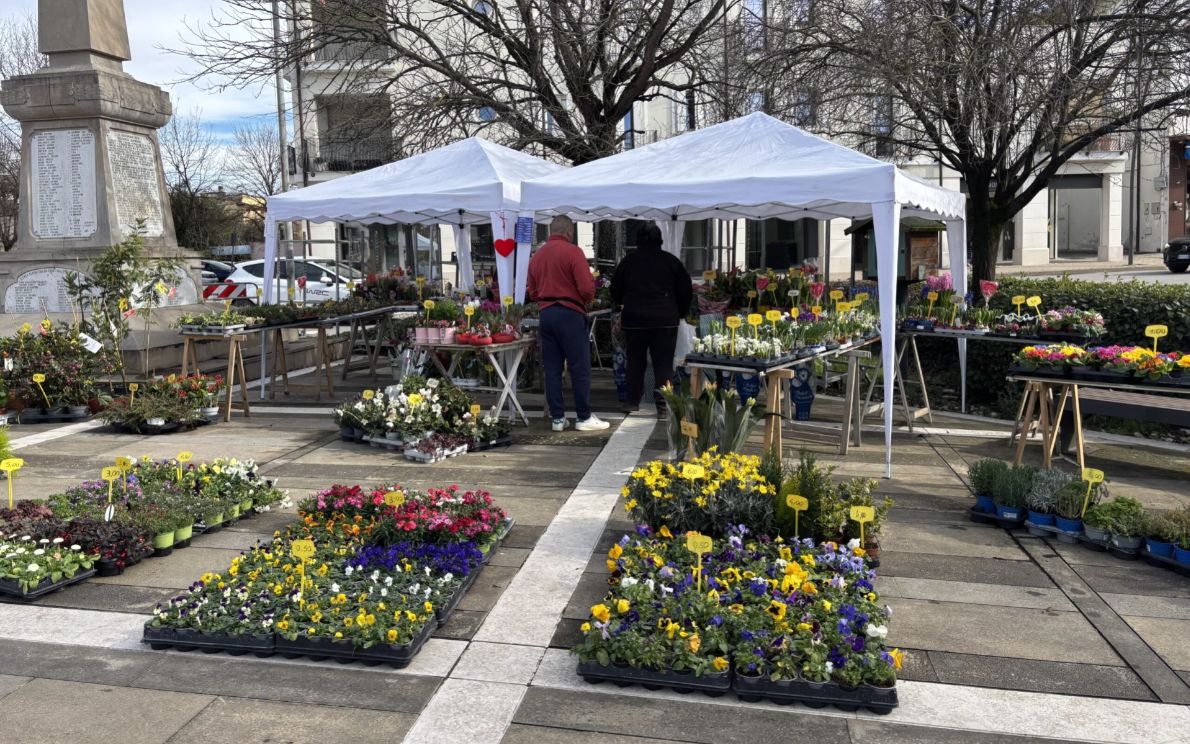 Mercatino dell’Antiquariato a Montegrotto