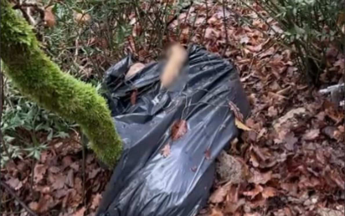 Cane ritrovato nel sacchetto