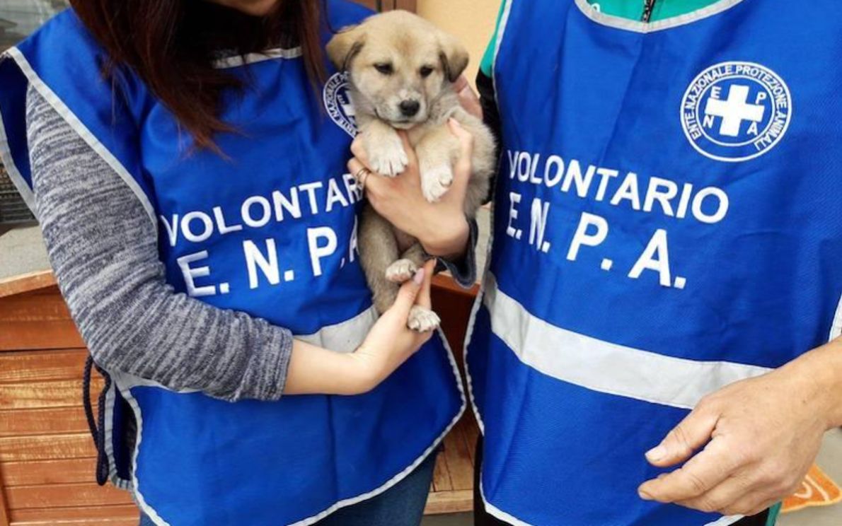 Volontari Enpa (foto archivio)