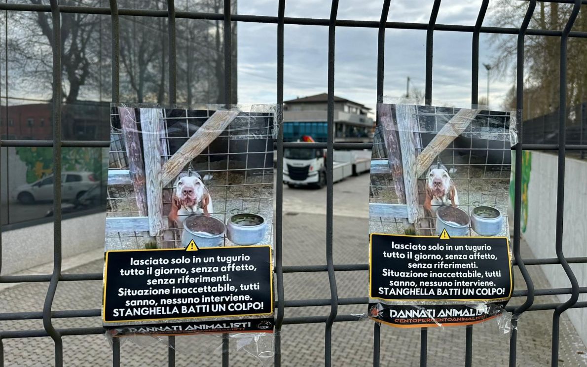 Centopercentoanimalisti a Stanghella