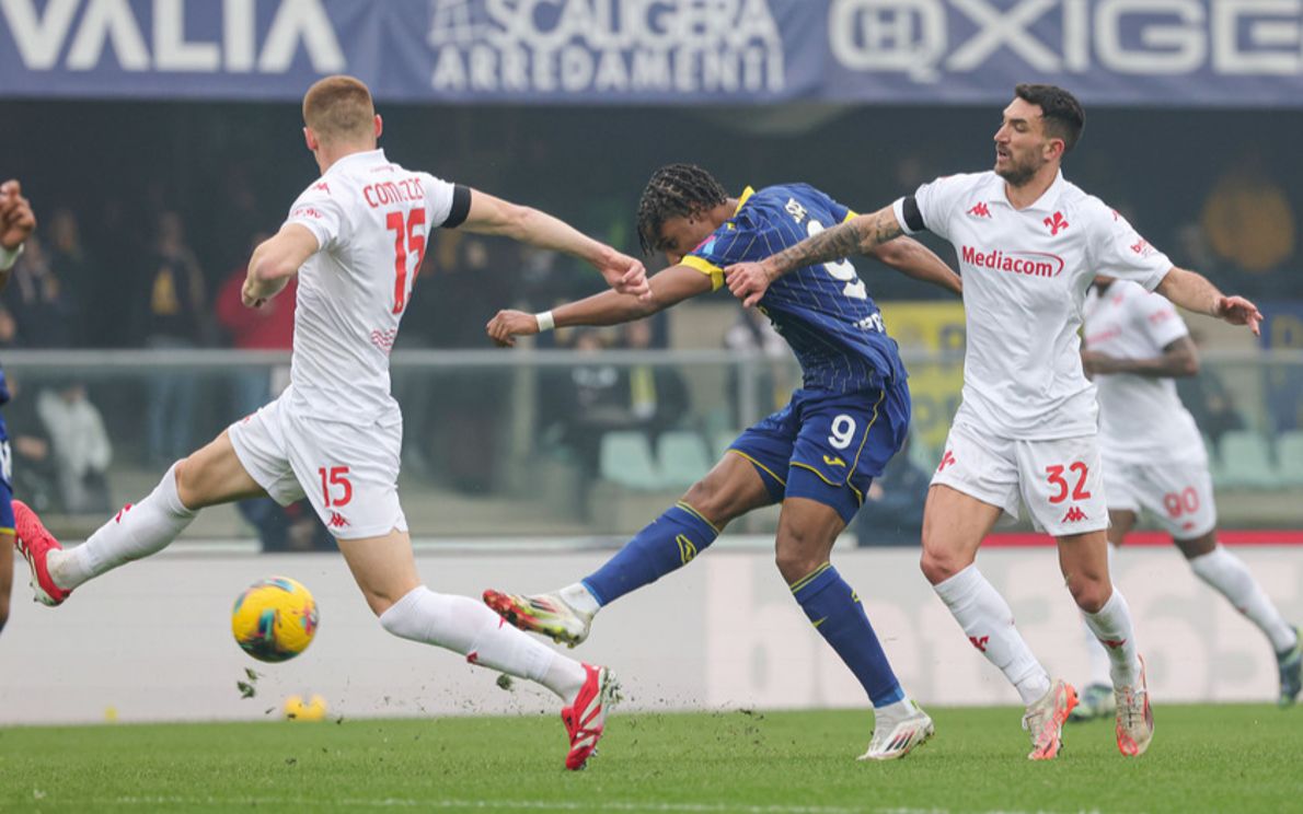 verona-fiorentina 1-0, foto ansa it