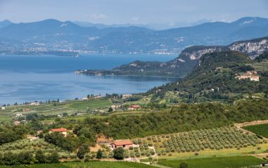 Vino Bardolino