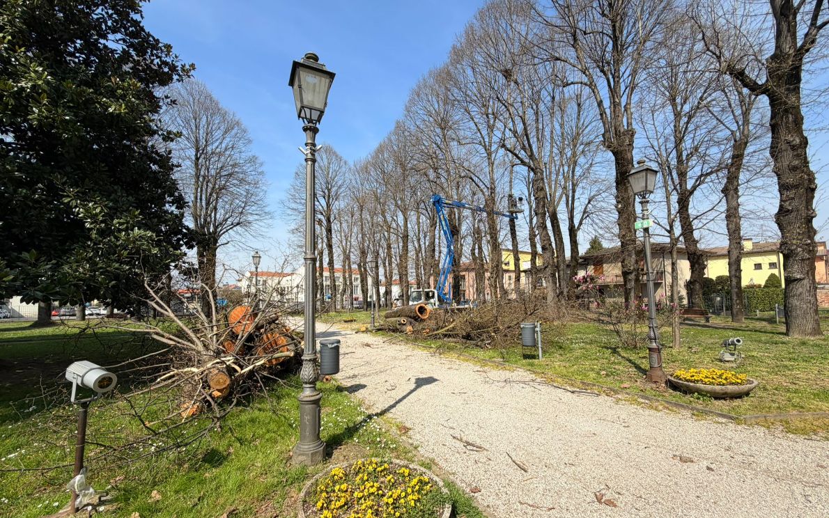 Parco Villa Obizzi ad Albignasego