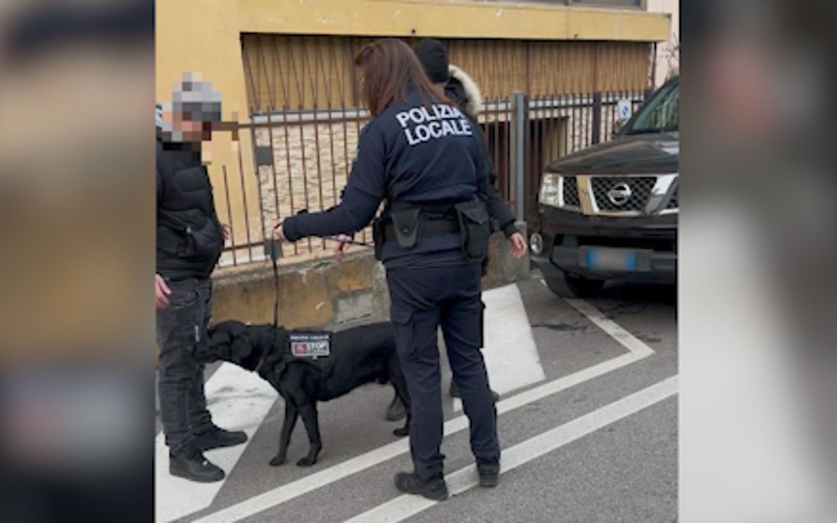 Unità cinofila Federazione Camposampierese