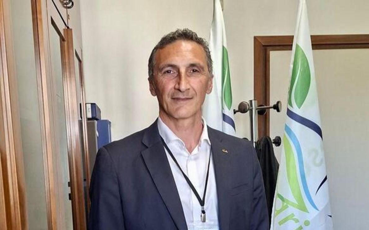 Erri Faccini