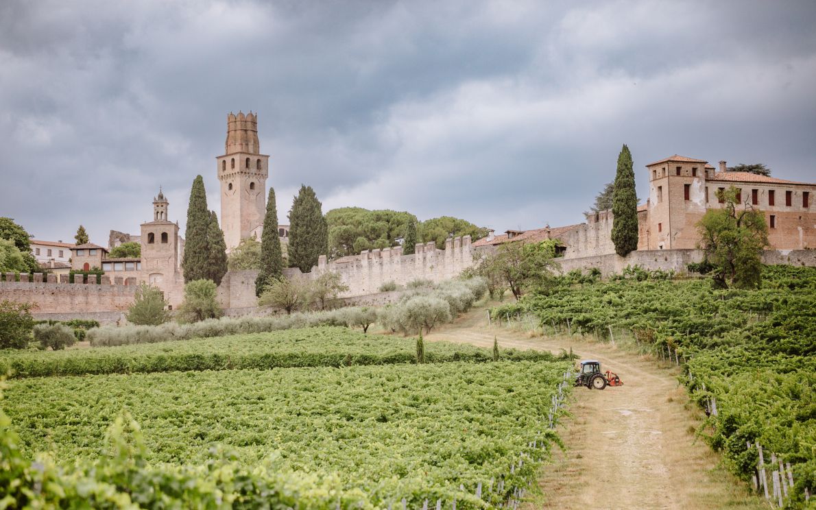 Castello di San Salvatore