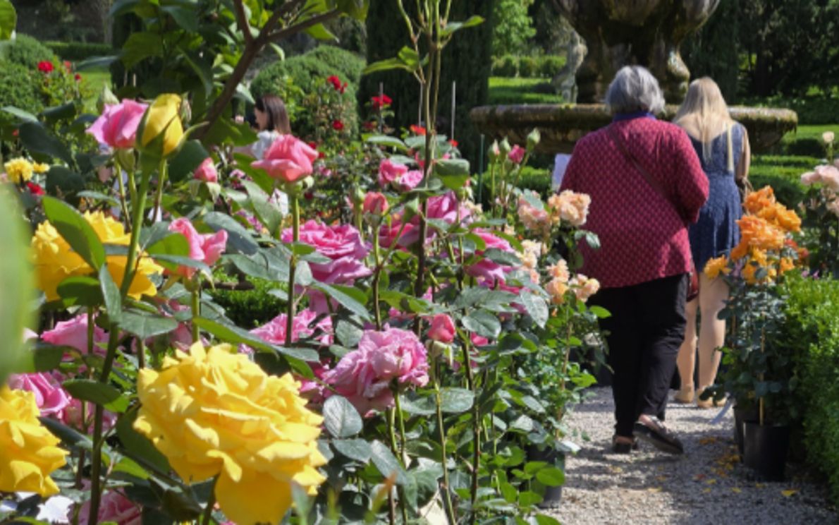 Verona Flower Show