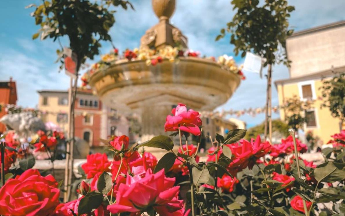 festa delle rose bussolengo