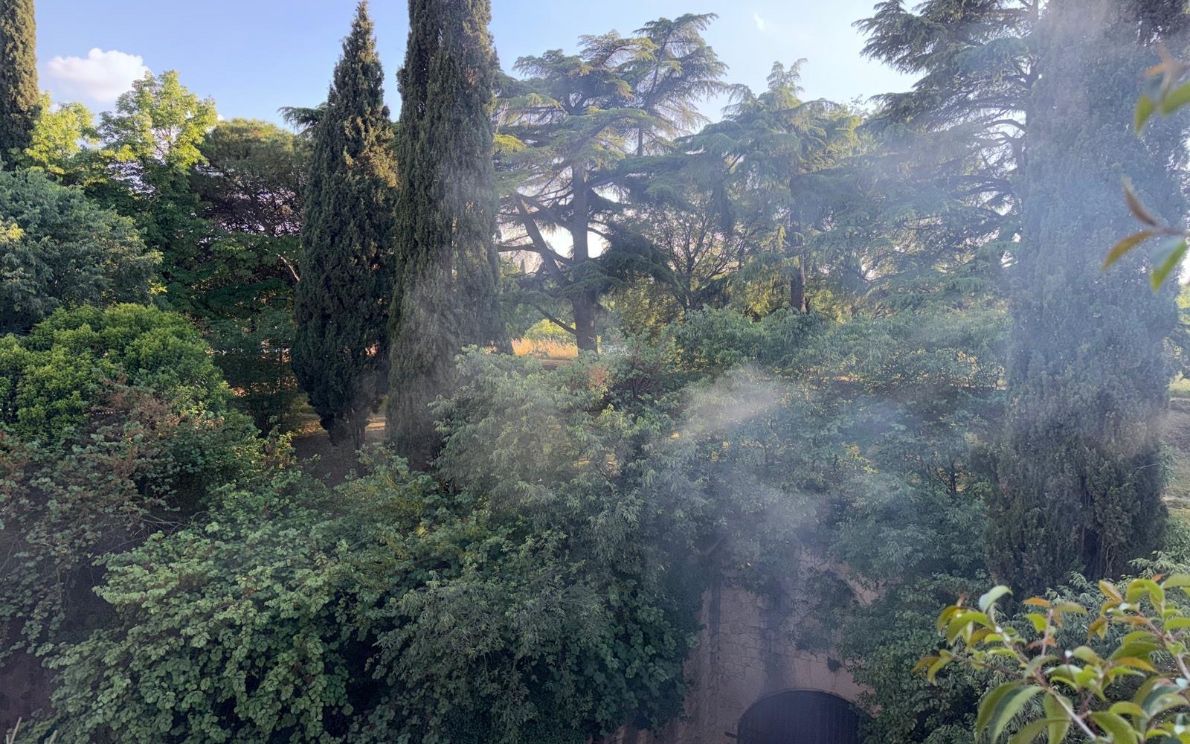Incendio