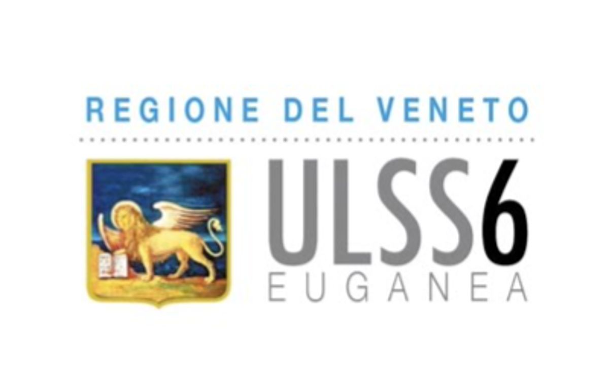 Ulss 6